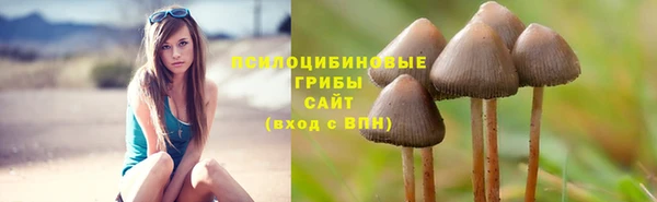 кокаин колумбия Новодвинск