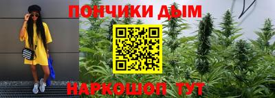 эйфоретик Гатчина