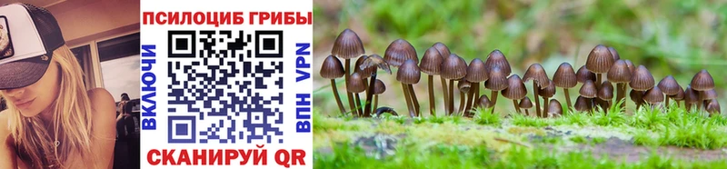 Галлюциногенные грибы MAGIC MUSHROOMS Кирово-Чепецк