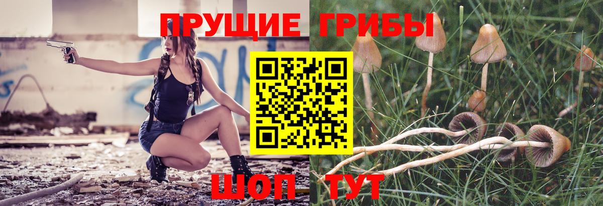 закладка  Псилоцибиновые грибы Magic Shrooms  Кирово-Чепецк  Вход с VPN  Псилоцибиновые грибы GOLDEN TEACHER 