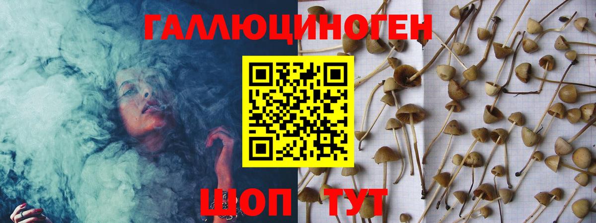 Галлюциногенные грибы GOLDEN TEACHER Кирово-Чепецк