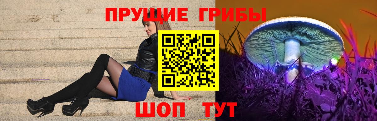 Псилоцибиновые грибы GOLDEN TEACHER Кирово-Чепецк